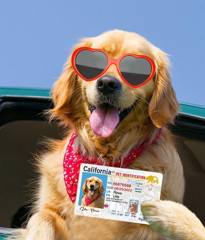 1 Pets Custiom Driver License ID California