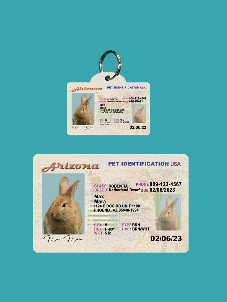 3 Pets Custiom Driver License ID Arizona