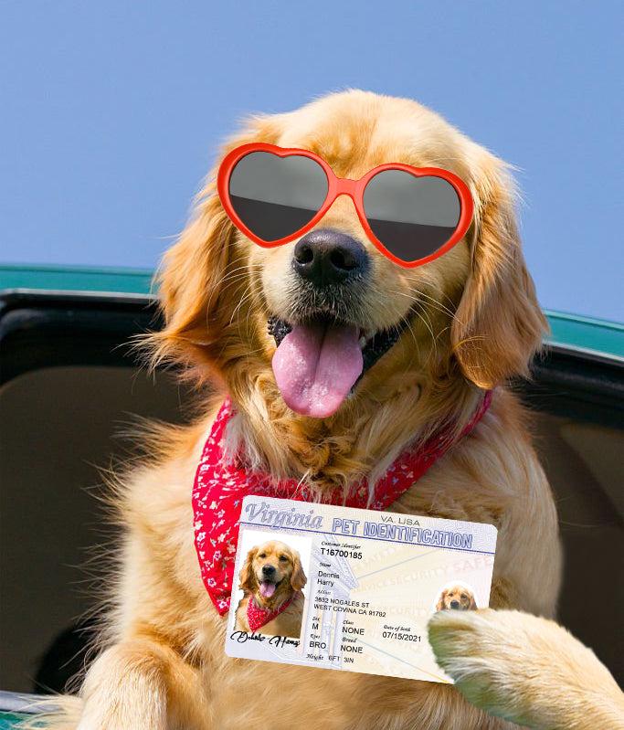 4 Pets Custiom Driver License ID Virginia