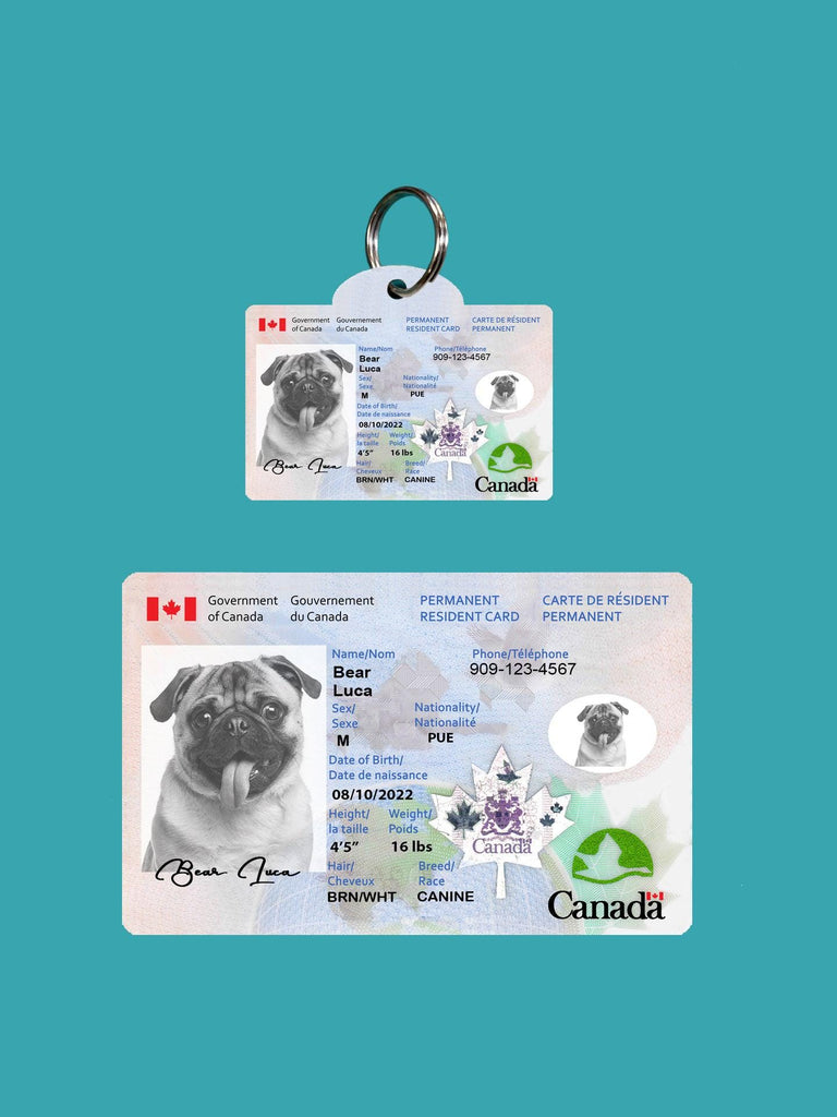 8 Pets Custiom Driver License ID Canada