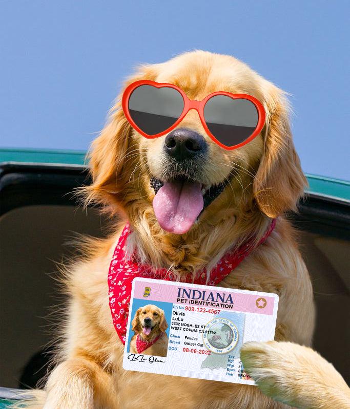 11 Pets Custiom Driver License ID Indiana