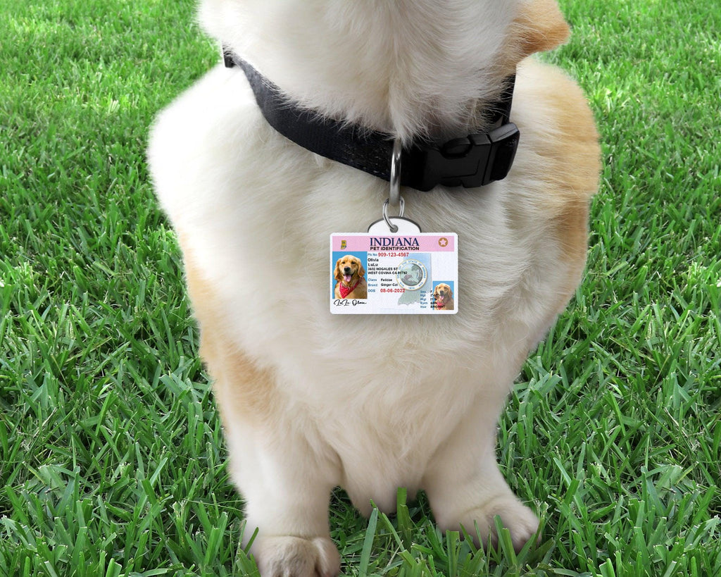 11 Pets Custiom Driver License ID Indiana