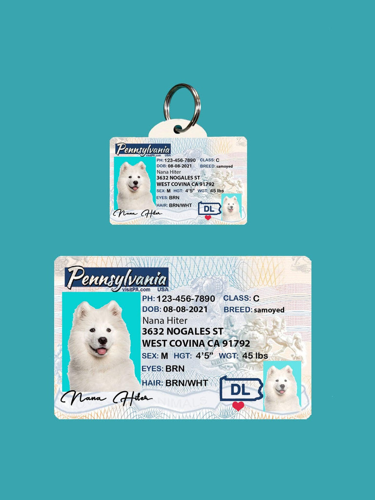 14 Pets Custiom Driver License ID Pennsylvania