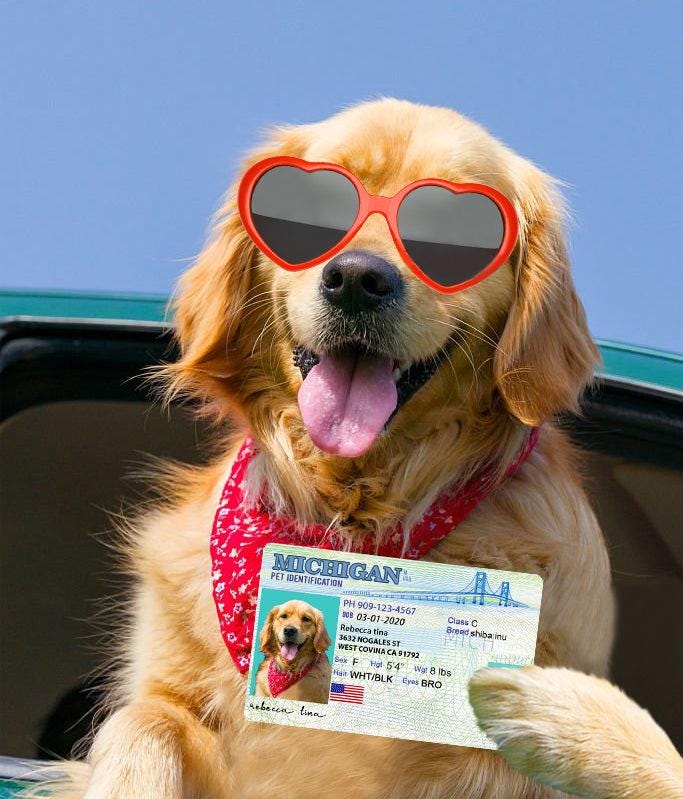 15 Pets Custiom Driver License ID Michigan