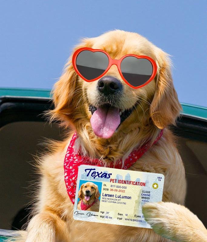 17 Pets Custiom Driver License ID Texas