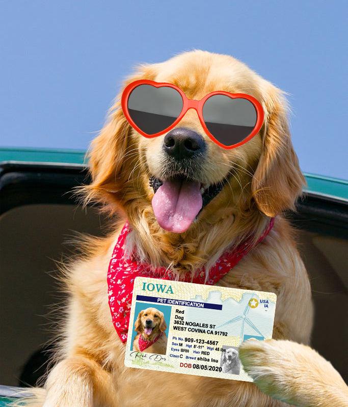 19 Pets Custiom Driver License ID Lowa