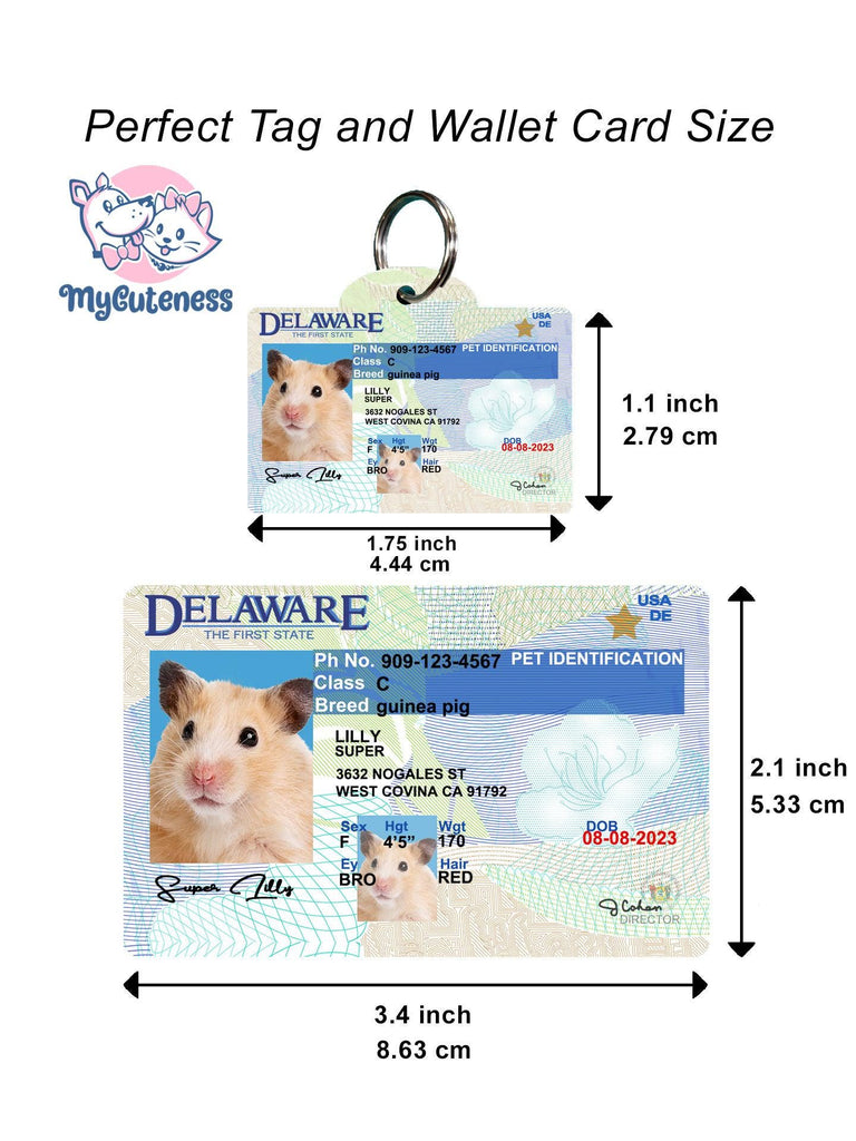 21 Pets Custiom Driver License ID Delaware