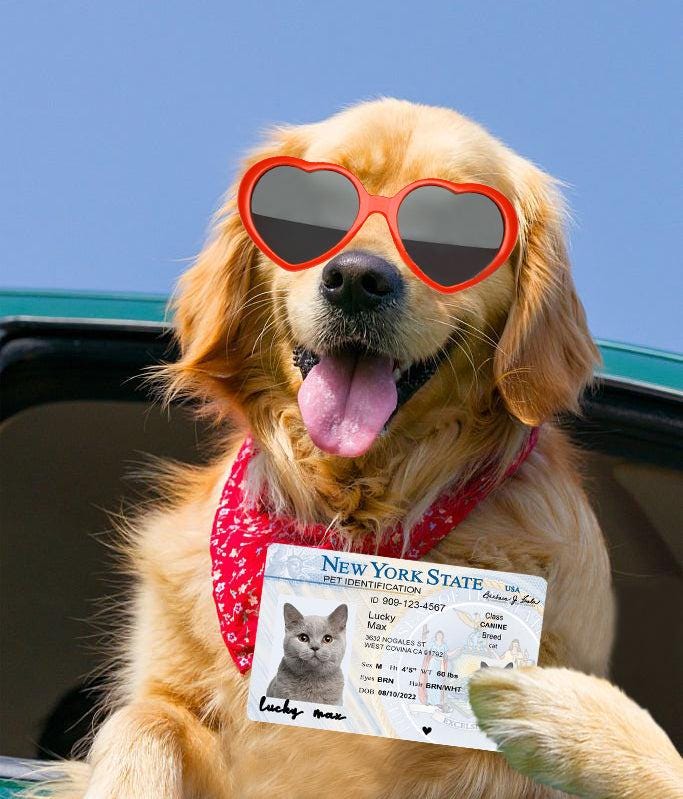 23 Pets Custiom Driver License ID New York