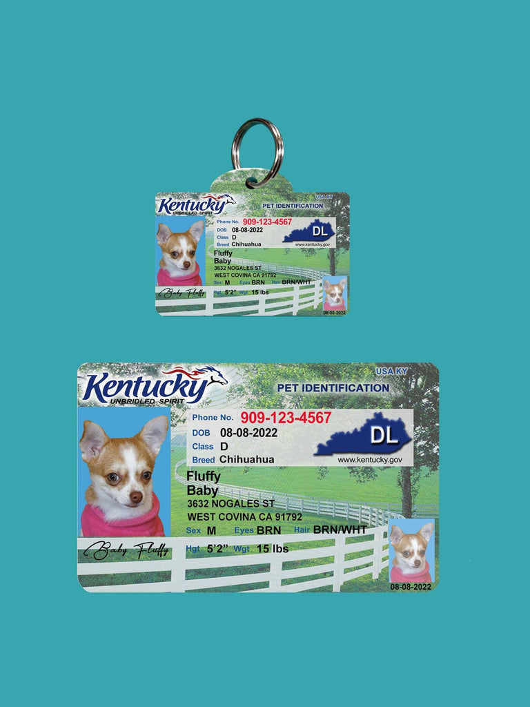 24 Pets Custiom Driver License ID Kentucky