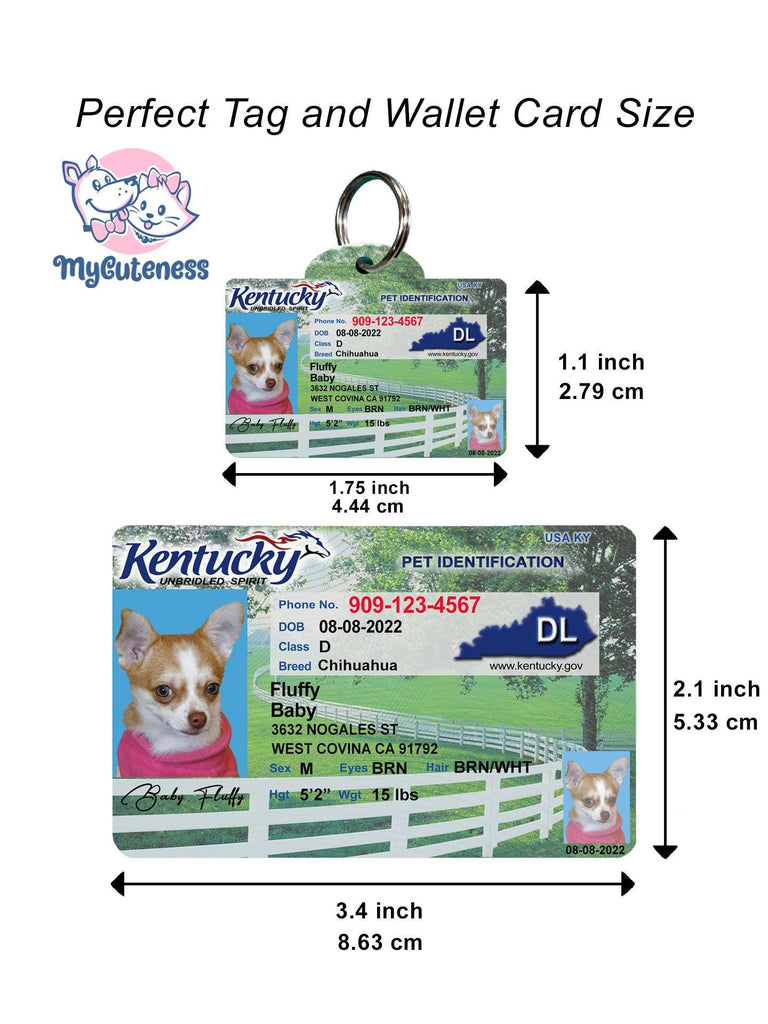 24 Pets Custiom Driver License ID Kentucky