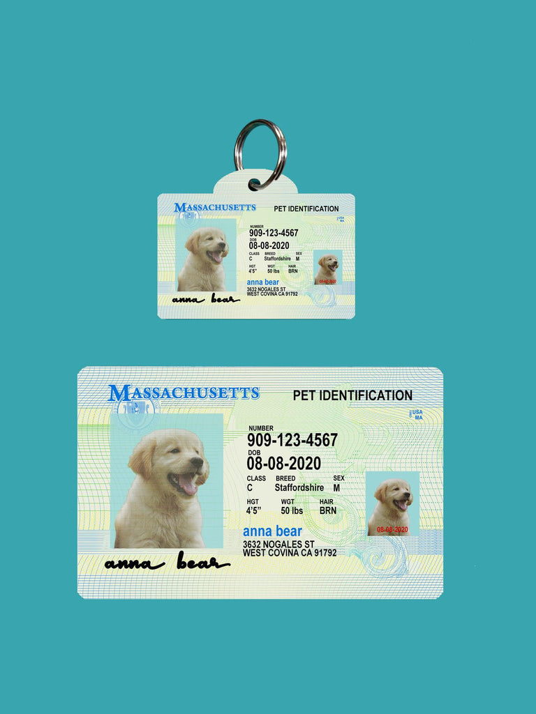 29 Pets Custiom Driver License ID Massachusetts