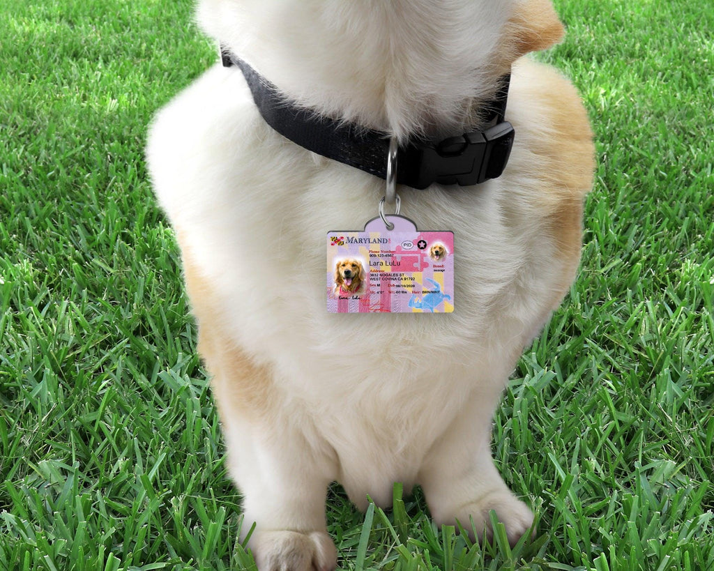 30 Pets Custiom Driver License ID Maryland