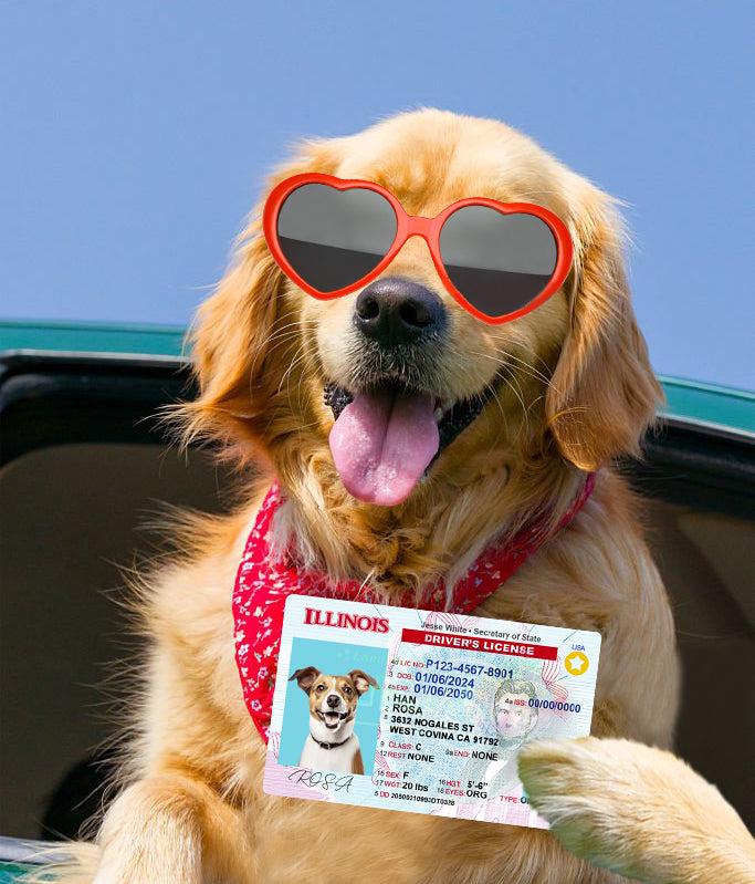 31 Pets Custiom Driver License ID Illinois