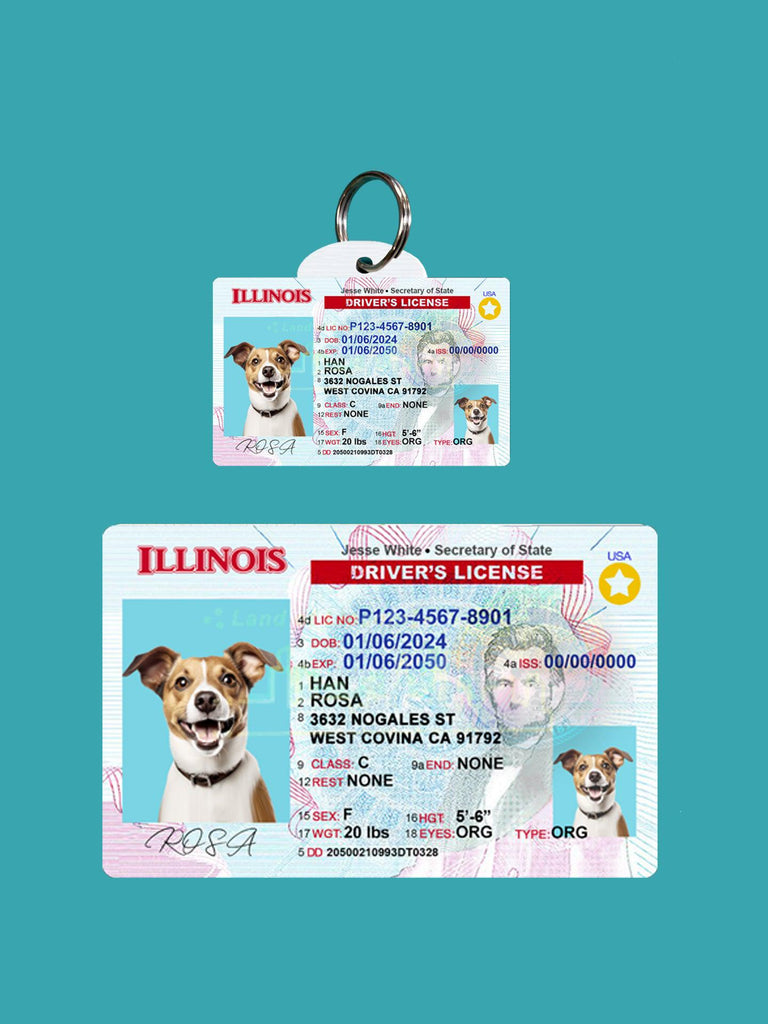 31 Pets Custiom Driver License ID Illinois