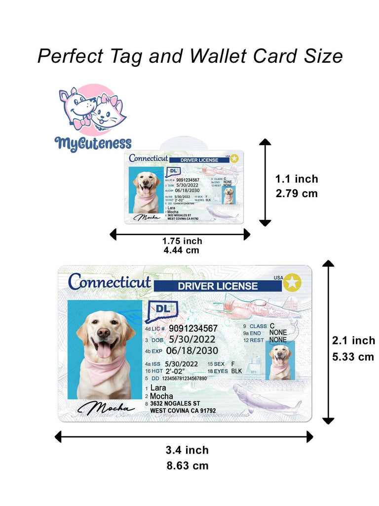 32 Pets Custiom Driver License ID Connecticut