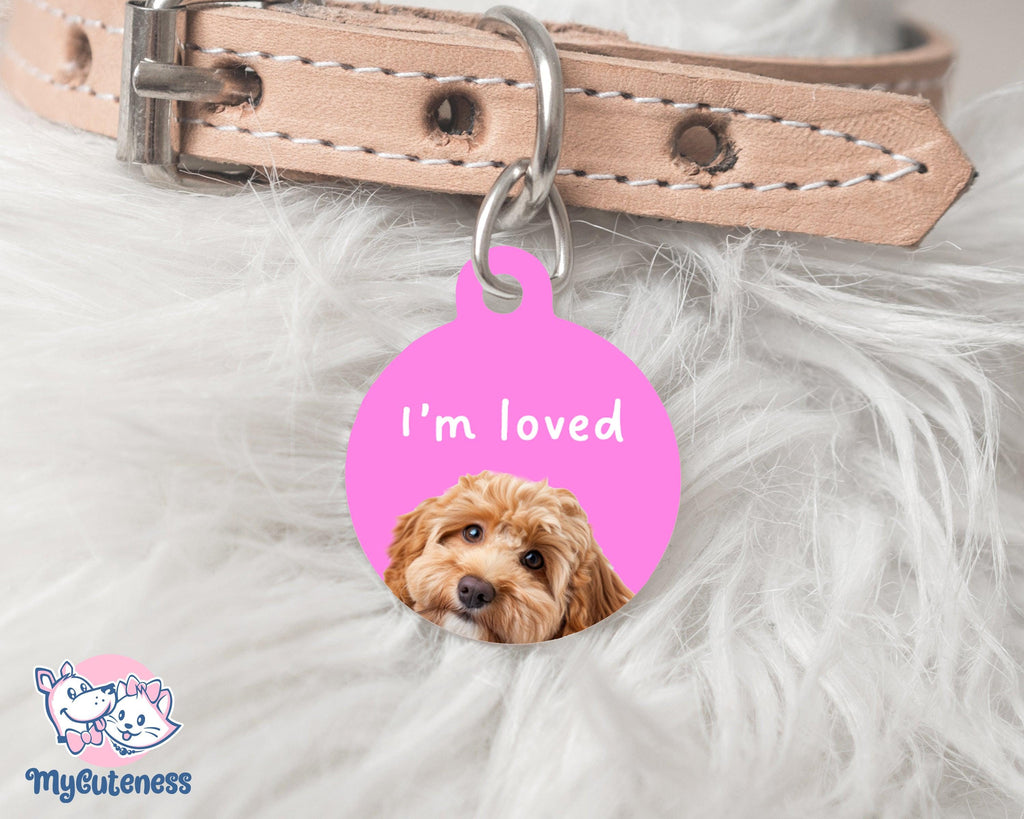 12 Pet Custom Round Name Tag, Customization