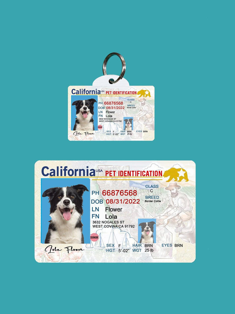 1 Pets Custiom Driver License ID California