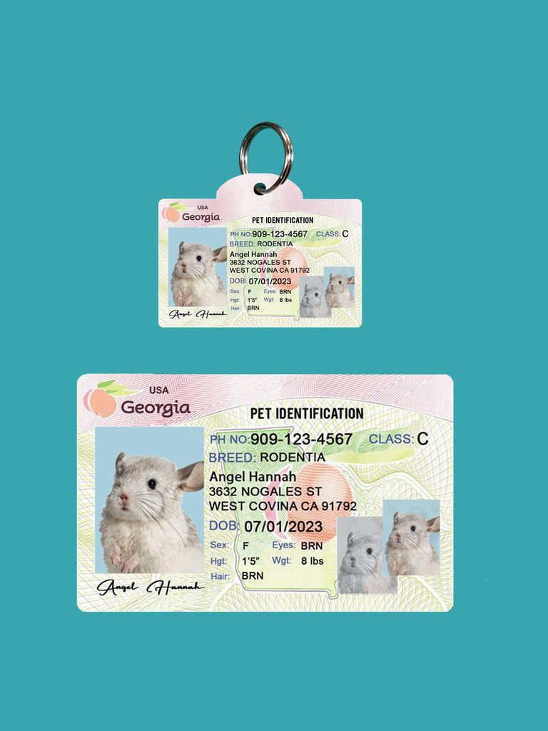 2 Pets Custiom Driver License ID Georgia