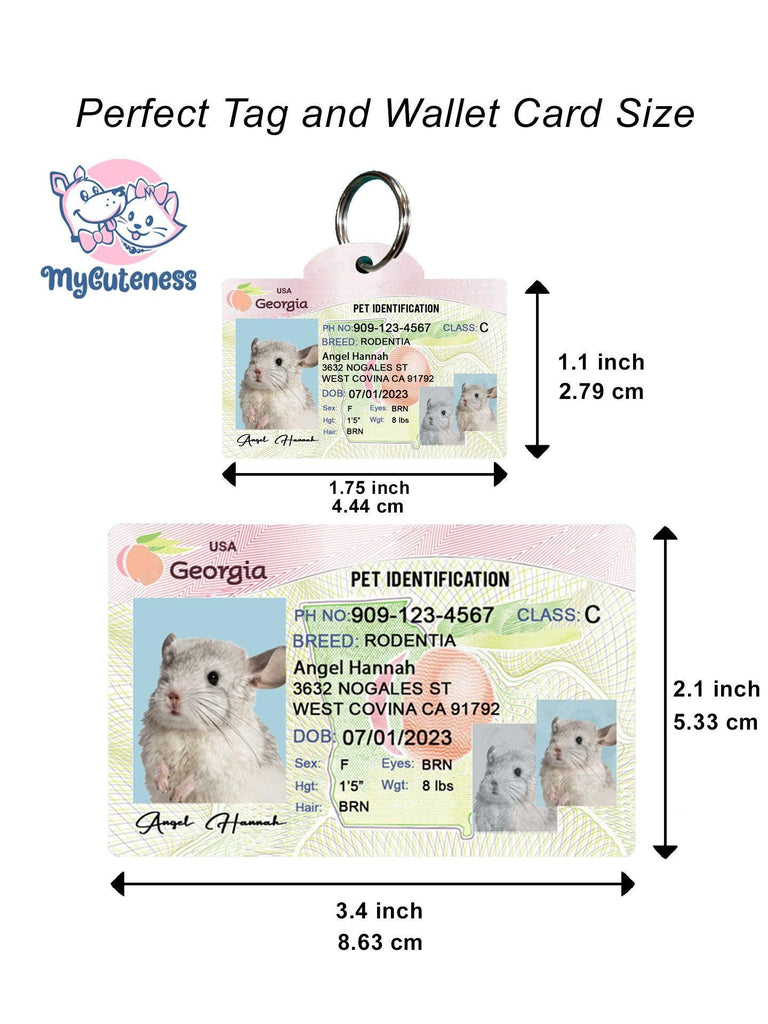 2 Pets Custiom Driver License ID Georgia