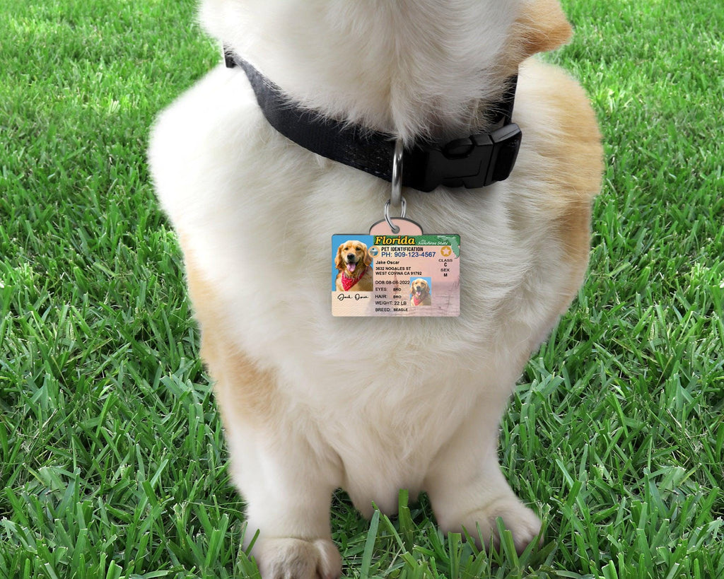 5 Pets Custiom Driver License ID Florida