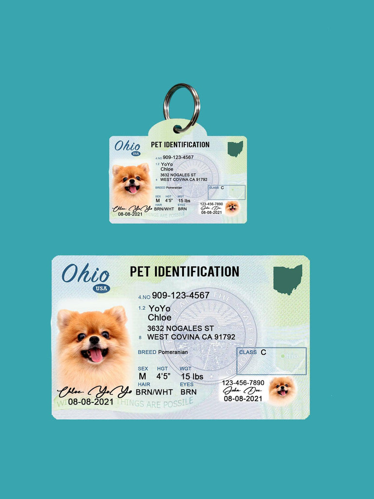 6 Pets Custiom Driver License ID Ohio