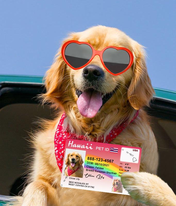 13 Pets Custiom Driver License ID Hawaii