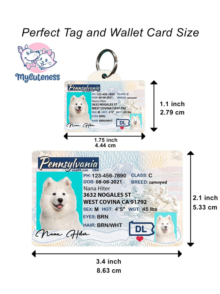 14 Pets Custiom Driver License ID Pennsylvania