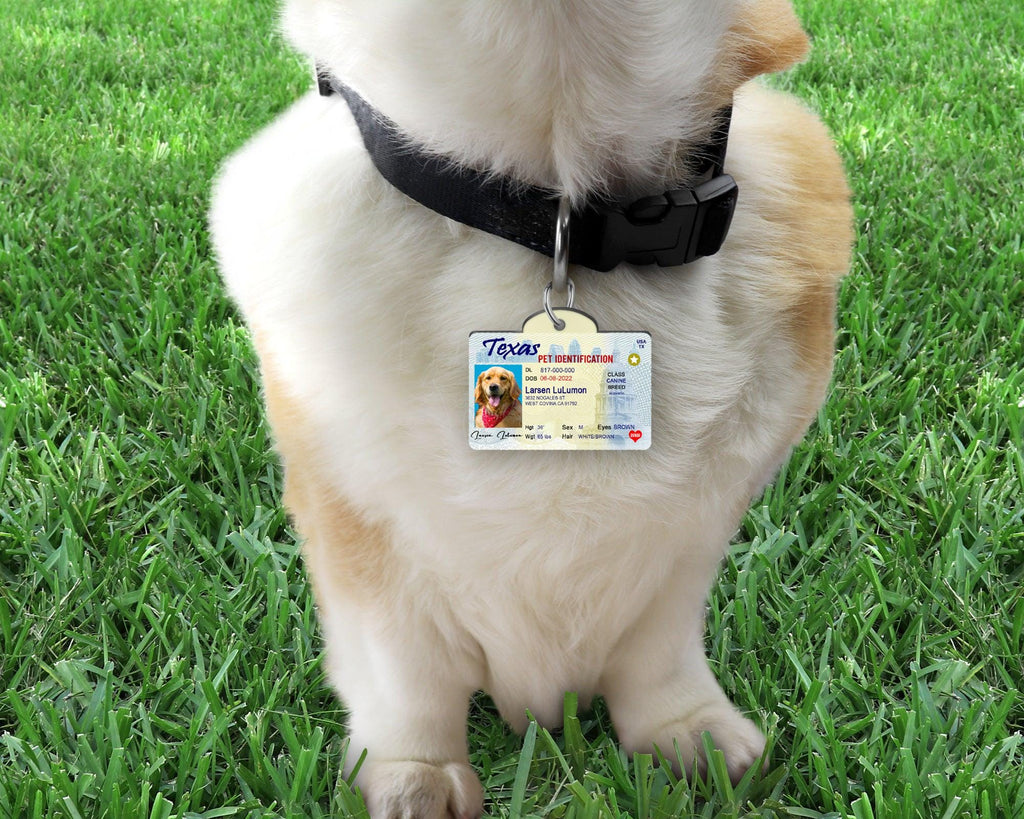 17 Pets Custiom Driver License ID Texas