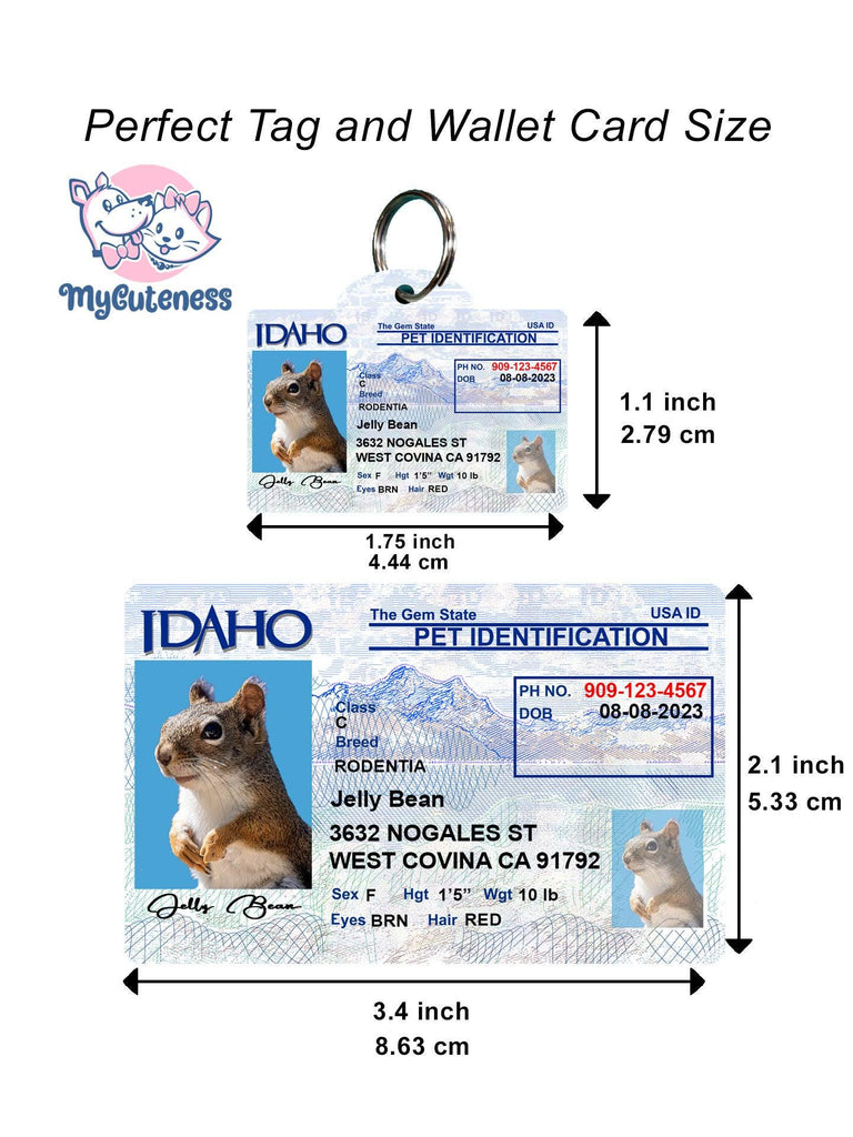 20 Pets Custiom Driver License ID Idaho