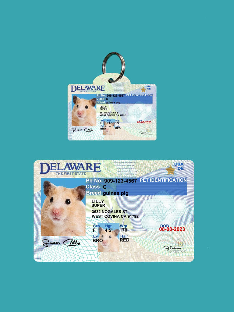 21 Pets Custiom Driver License ID Delaware