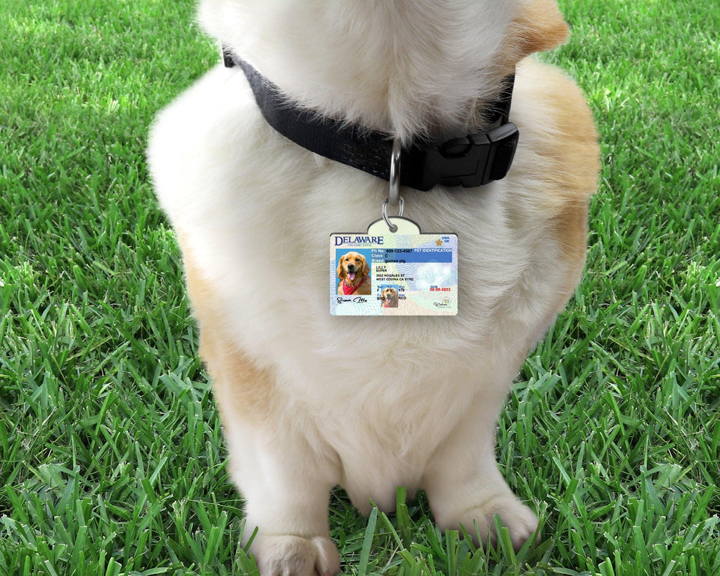 21 Pets Custiom Driver License ID Delaware