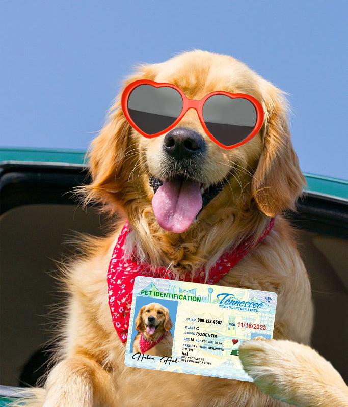 22 Pets Custiom Driver License ID Tennessee