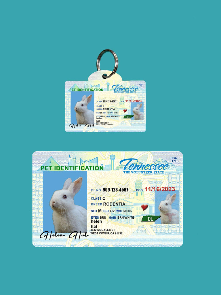 22 Pets Custiom Driver License ID Tennessee