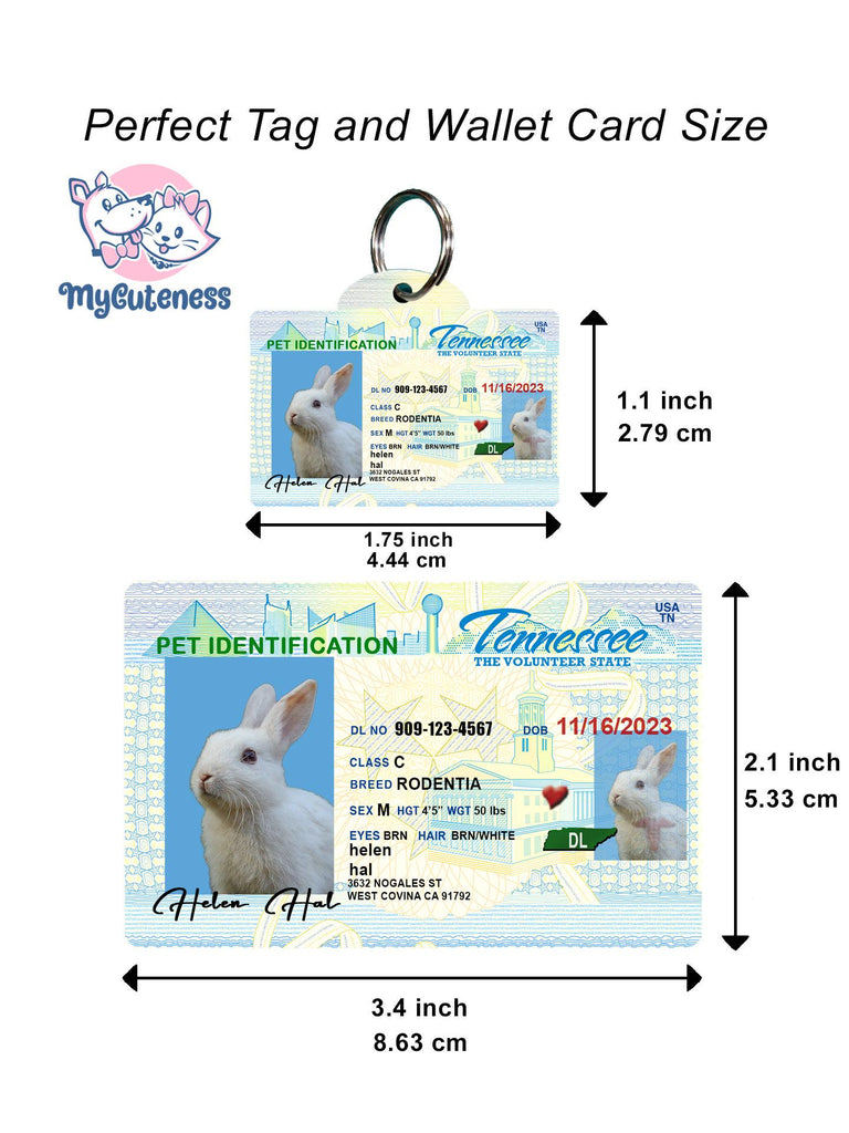 22 Pets Custiom Driver License ID Tennessee