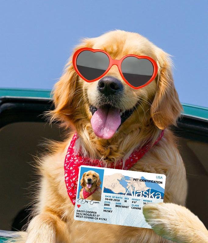 27 Pets Custiom Driver License ID Alaska