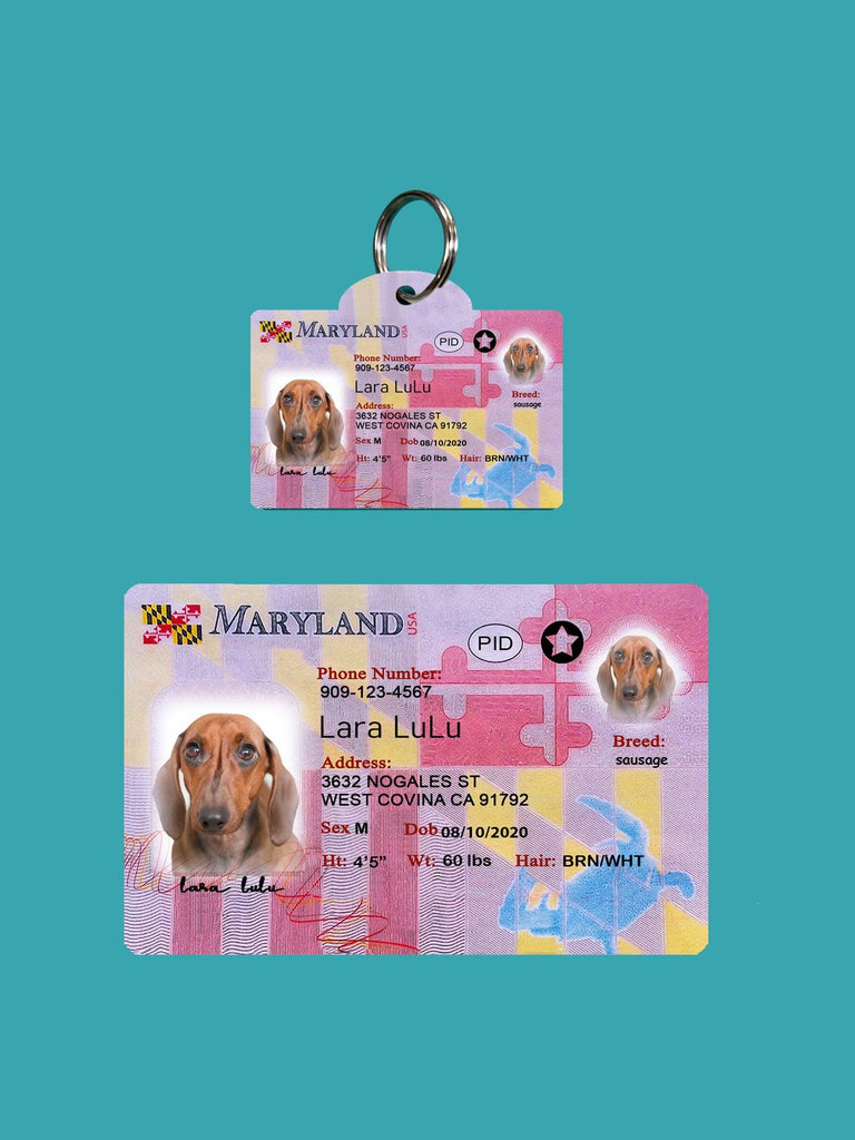 30 Pets Custiom Driver License ID Maryland