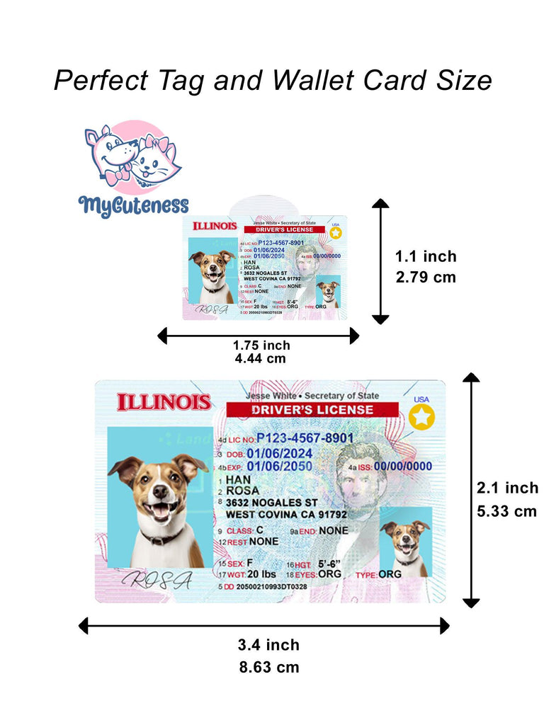 31 Pets Custiom Driver License ID Illinois