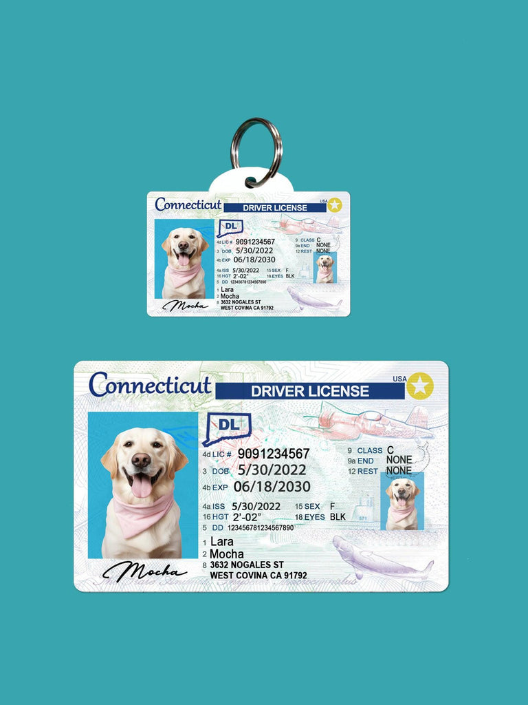 32 Pets Custiom Driver License ID Connecticut