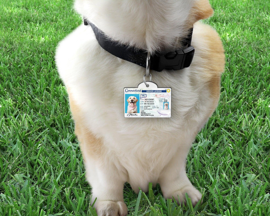 32 Pets Custiom Driver License ID Connecticut