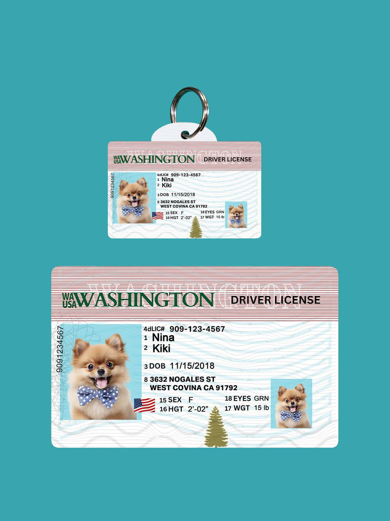 33 Pets Custiom Driver License ID Washington