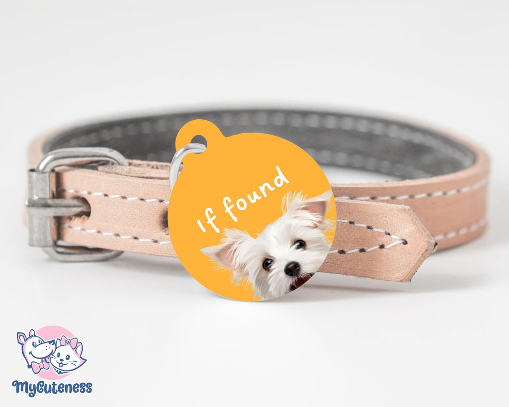 2 Pet Custom Round Name Tag, Customization