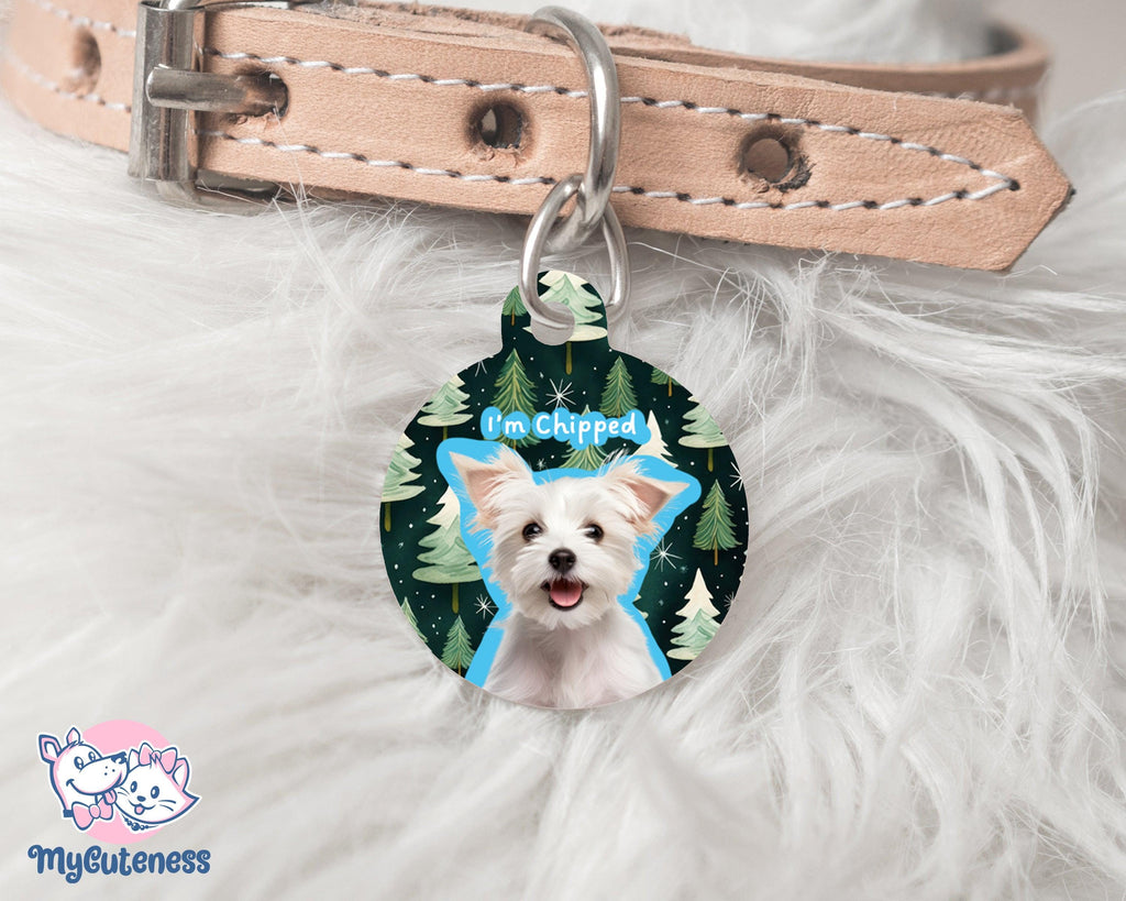 19 Pet Custom Round Name Tag, Customization