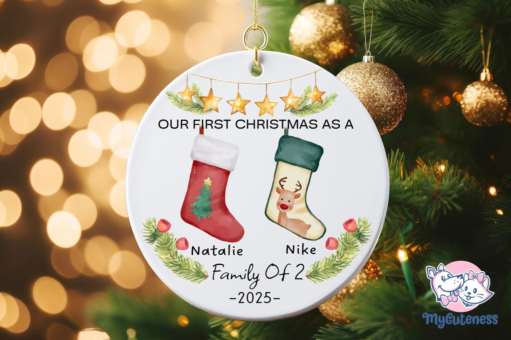 Family Of Two Christmas Ornament, Custom New Family Ornament, Baby's First Christmas Ornament, Personalized Family Ornament