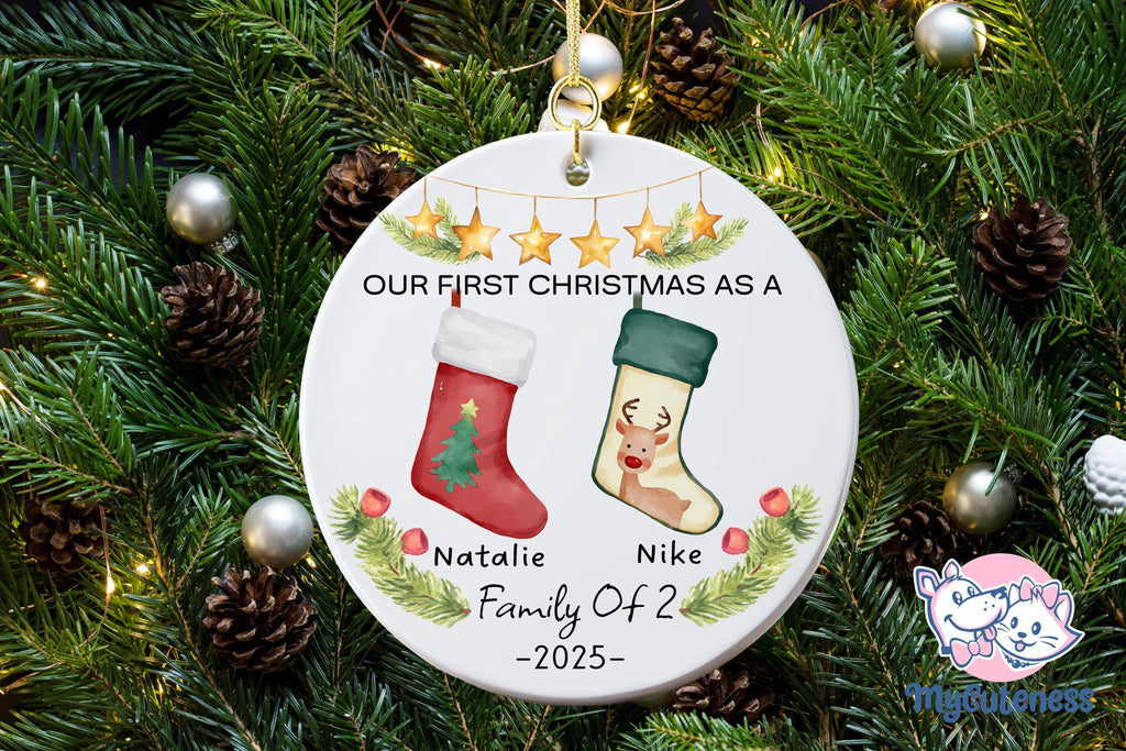 Family Of Two Christmas Ornament, Custom New Family Ornament, Baby's First Christmas Ornament, Personalized Family Ornament