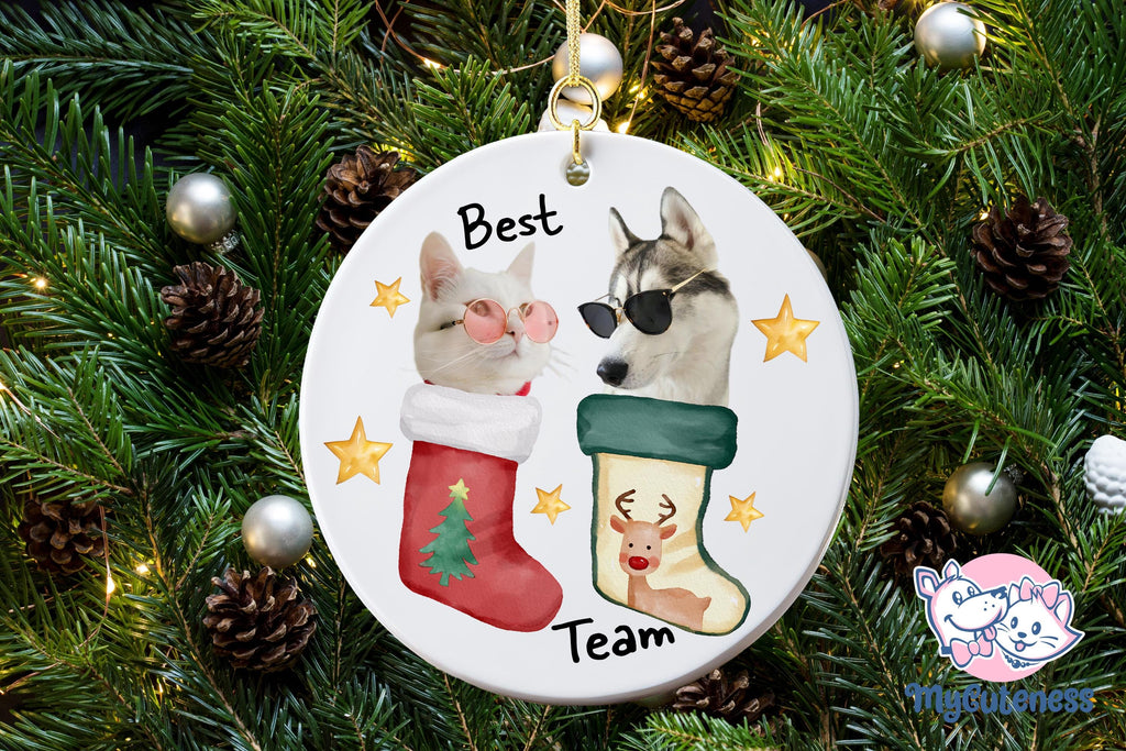 Personalized Pet Ornament, Custom Dog Christmas Ornament, Pet Ornament Using Photo, Cat Christmas Photo Ornament, Pet Portrait Name Gift