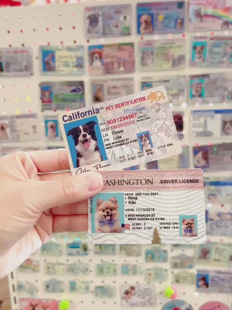 19 Pets Custiom Driver License ID Lowa