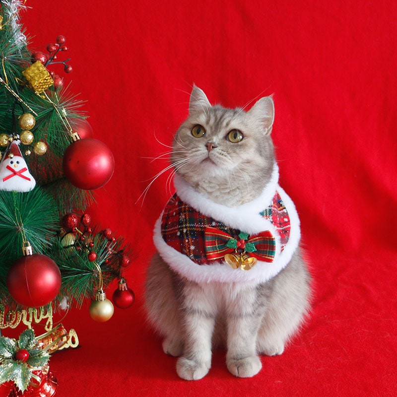 Christmas Santa Outfit Cloak  for Cats Small Medium Dogs | Holiday Xmas Costume for Pets |Shiba Corgi Doodle Kitty Puppy Winter Coat
