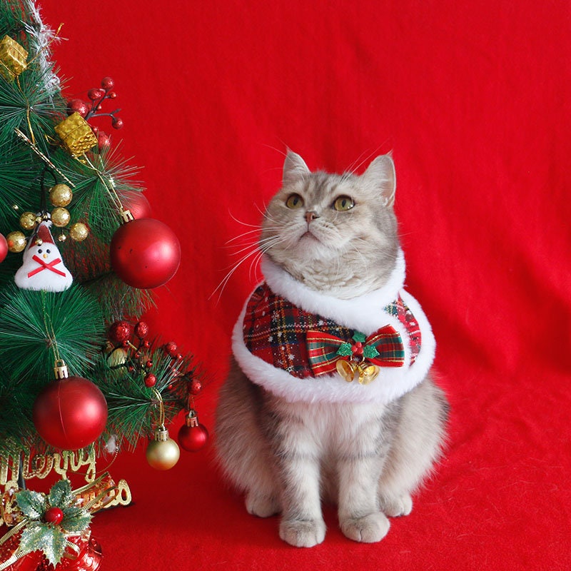 Christmas Santa Outfit Cloak  for Cats Small Medium Dogs | Holiday Xmas Costume for Pets |Shiba Corgi Doodle Kitty Puppy Winter Coat