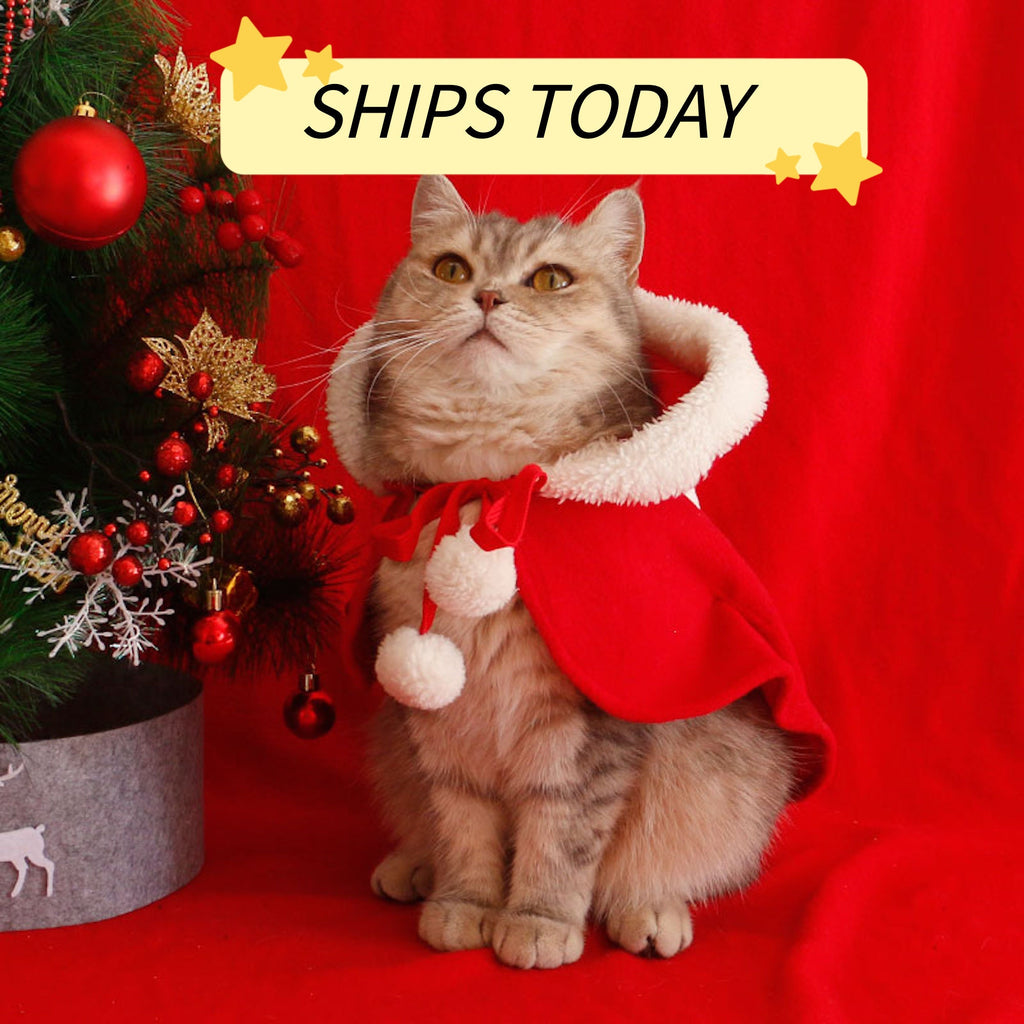 Christmas Pet Cloak with Hat Red Santa Poncho Cape Xmas Party Costume for Puppy Dog and Cat