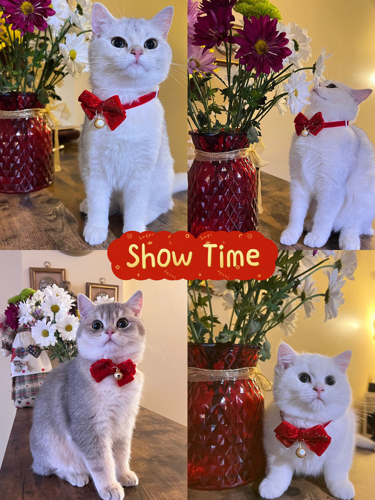 2023 Chinese New Year Costume for Pet Cat Collars with Bells Breakaway Bowknot Collar Festival Pet Collars for Kitty Puppies New Year
